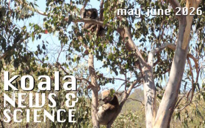 Koala News & Science May June 2026