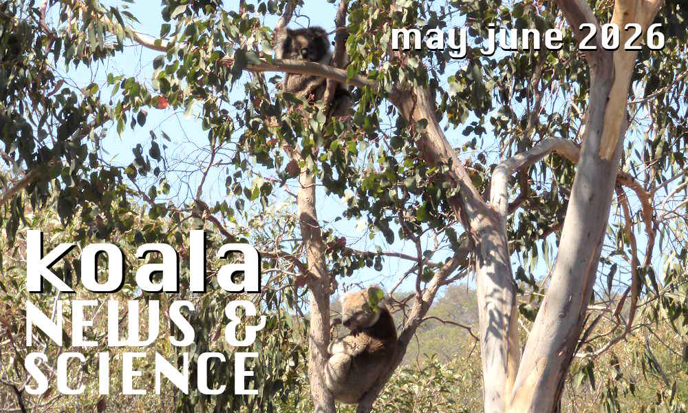 koala news science header may june 2026