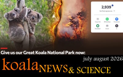 Koala News & Science July August 2026